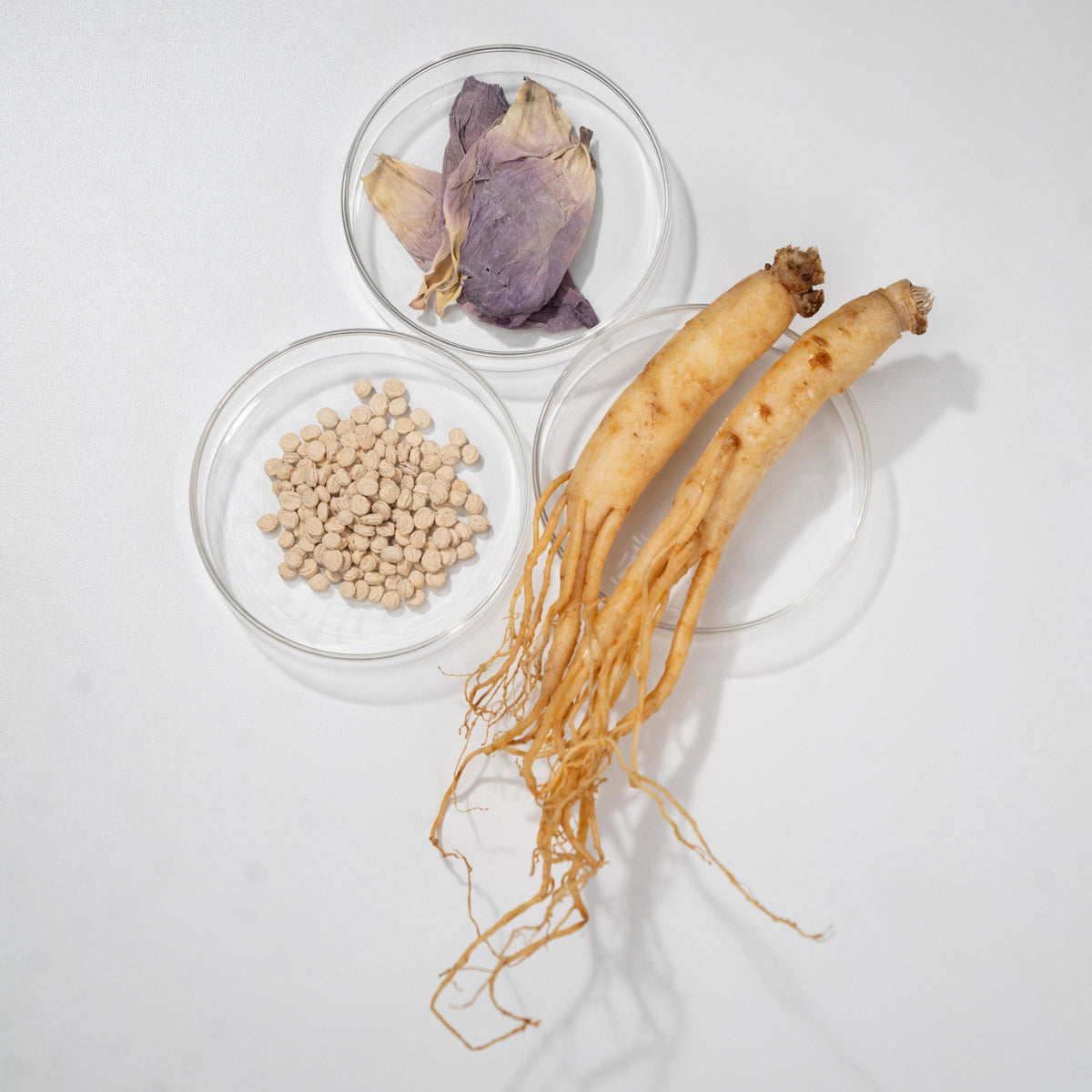 K-Adaptogen Youth Blend