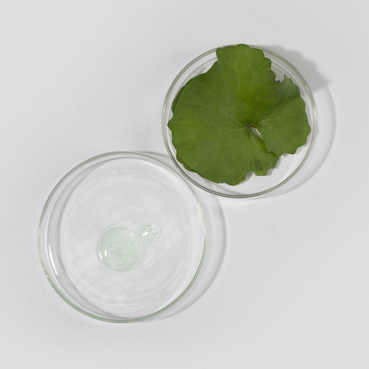 Centella Asiatica Water