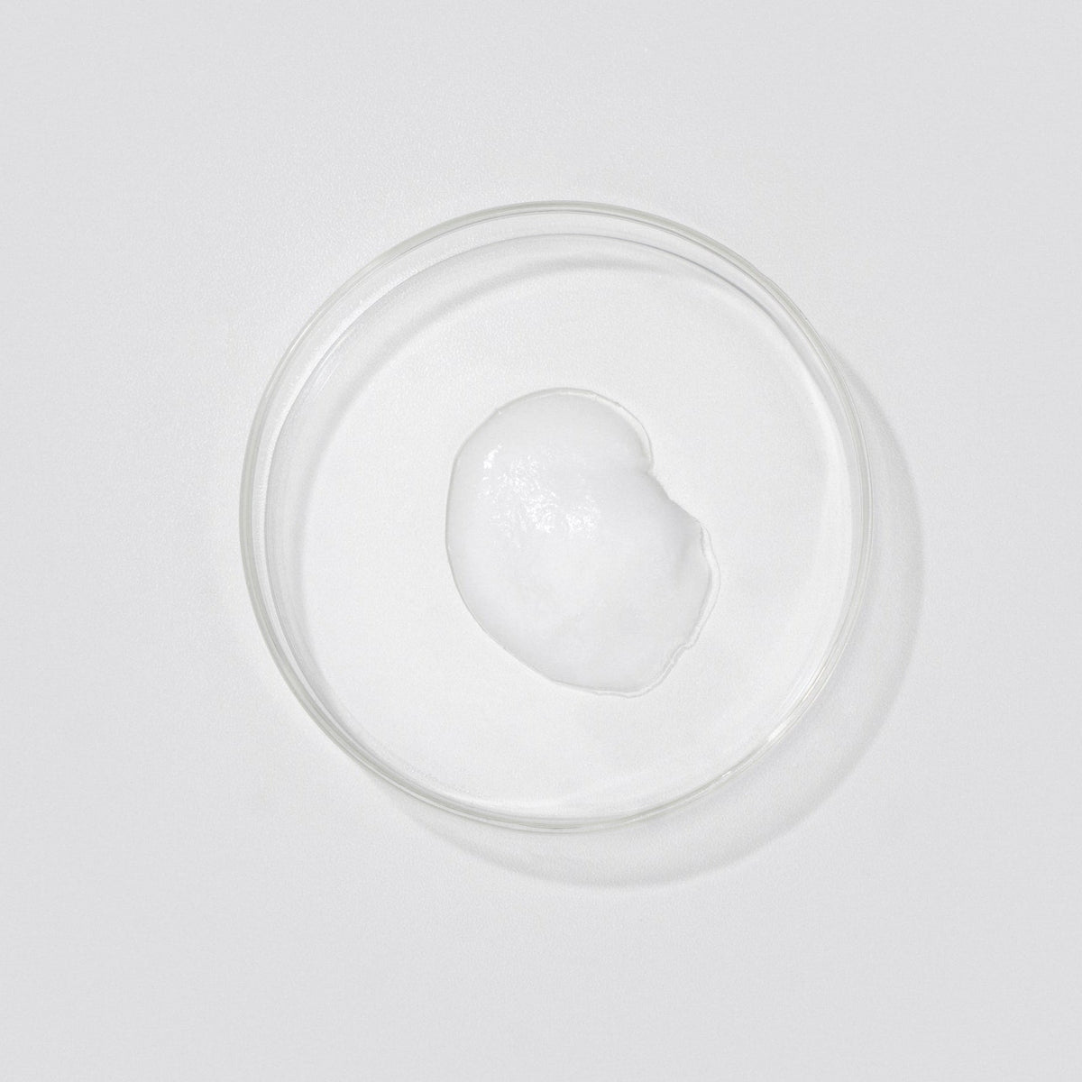 Ginseng Derived Bacillus Ferment