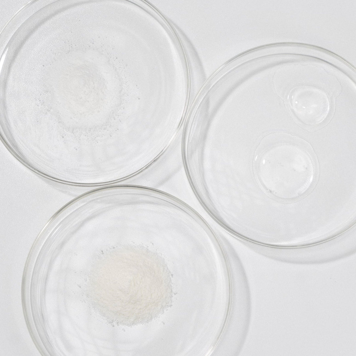 Lactic, Mandelic & Succinic Acids