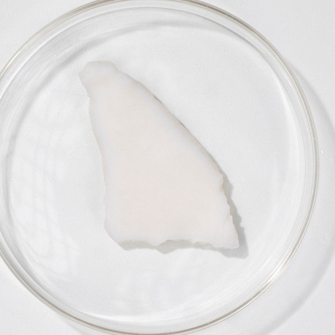 Fermented coconut